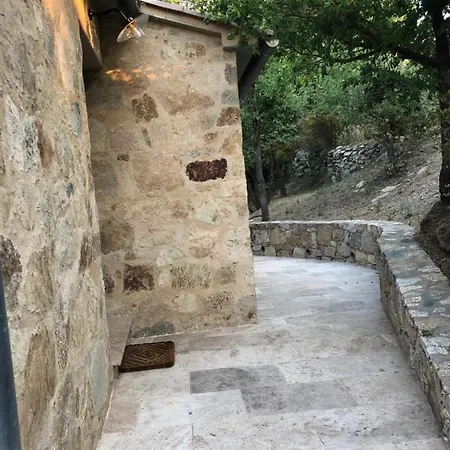 Nocleg ze śniadaniem Dhotes Corse Venaco (Corsica)