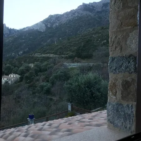 Dhotes Corse Venaco (Corsica)