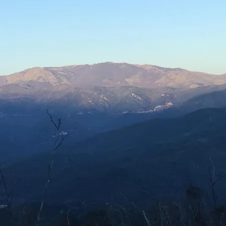 Dhotes Corse Venaco (Corsica)