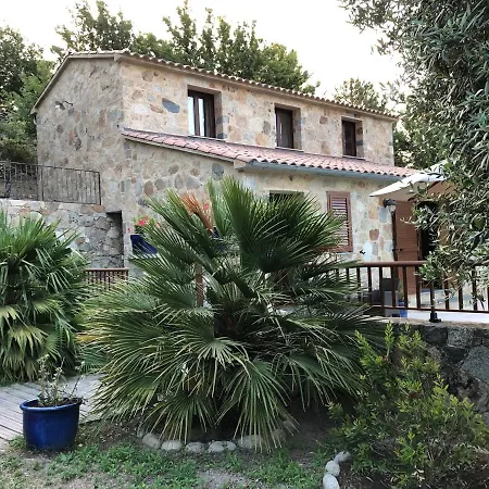 Dhotes Corse Venaco (Corsica)