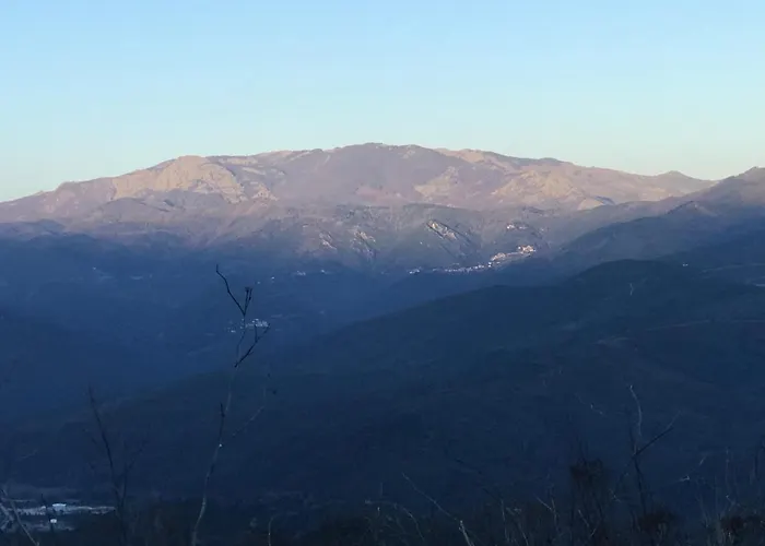 Dhotes Corse Venaco (Corsica)